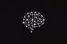 LearnLoop